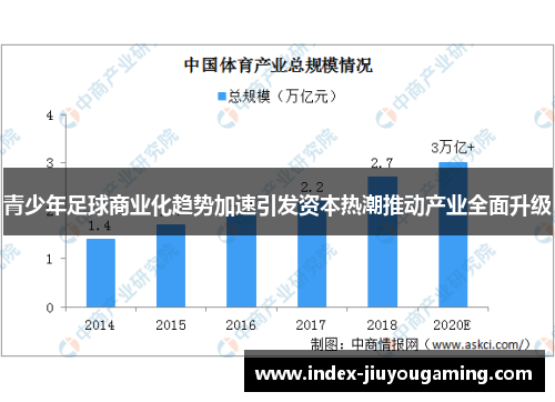 青少年足球商业化趋势加速引发资本热潮推动产业全面升级