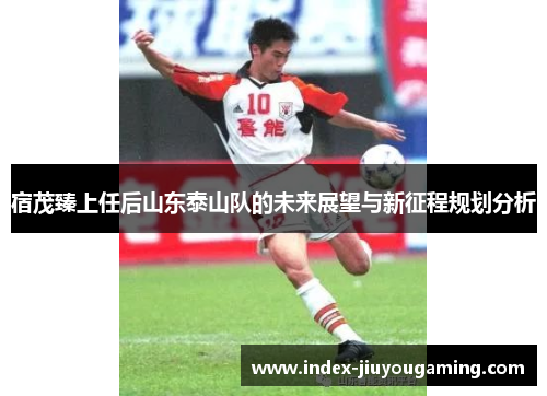 宿茂臻上任后山东泰山队的未来展望与新征程规划分析